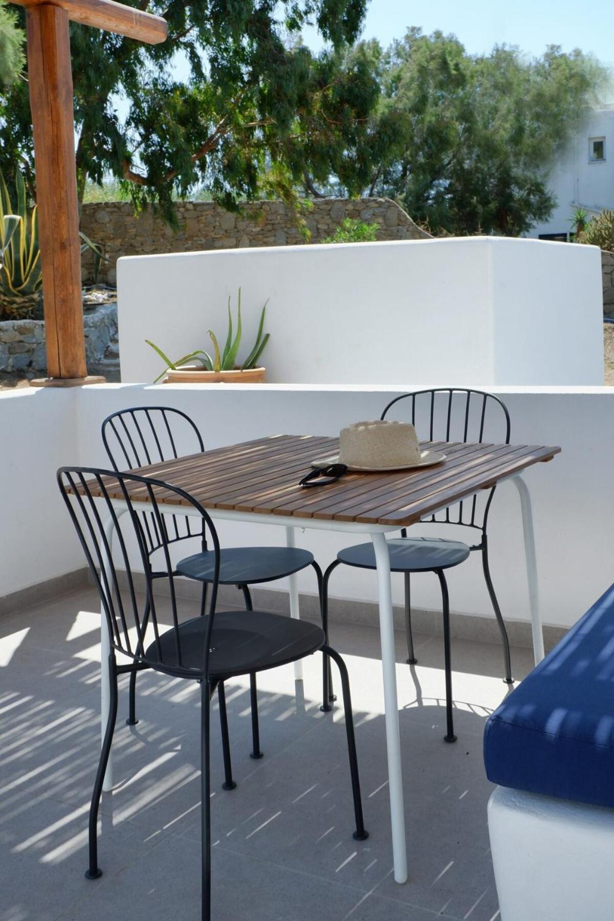 Mykonos Delphini
